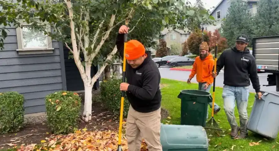 Landscape Maintenance